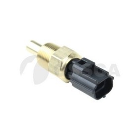 Kühlmitteltemperatur-Sensor 24131