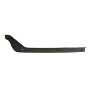 Acquista Mostrina, Paraurti da PACOL MAN-FB-065L a buon mercato per soli 9,47 €