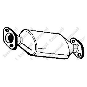 Katalysator 099-309