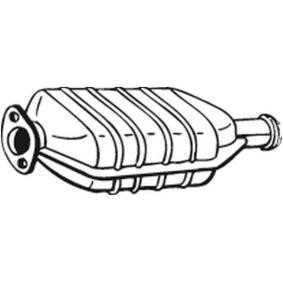 Katalysator 099-421