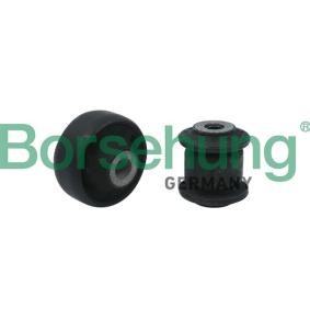 Acquista Supporto braccio oscillante da Borsehung B18476 a buon mercato per soli 28,96 €