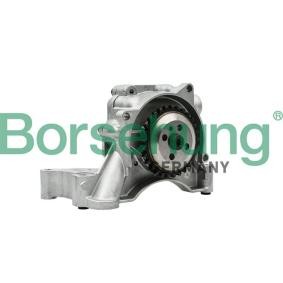 Achetez des Pompe à huile Borsehung B18512 à prix pour 70,16 €