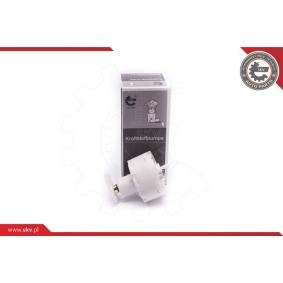Achetez des Pompe à carburant ESEN SKV 02SKV767 à prix pour 71,72 €