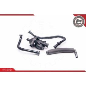 Compre Kit de reparação, respiro do cárter da cambota da ESEN SKV 31SKV042 a um preço baixo por 96,18 €