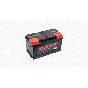 Batterie 067080720001 von MAGNETI MARELLI günstig für 163,26 € online kaufen