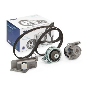 Acquista Kit cinghia distribuzione, pompa acqua da DOLZ KD110 a buon mercato per soli 105,65 €