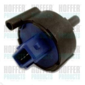 Wassersensor, Kraftstoffanlage 8029774