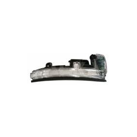 Blinker 6202046