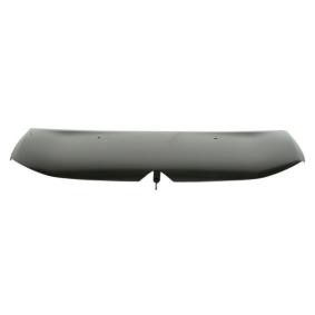 Motorhaube 6803-00-0532280P
