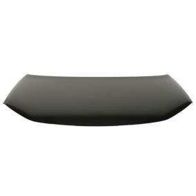 Motorhaube 6803-00-6819280P