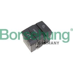 Köp Kontroll, instrumentbelysning av Borsehung B18568 till det låga priset 390,16 kr