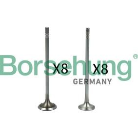 Compre Válvula de expansión de aire acondicionado de Borsehung online para FABIA Ranchera familiar (NJ5) a precios moderados