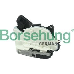 Türschloss von Borsehung