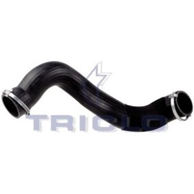 Compre Tubo flexível do ar de sobrealimentação da TRICLO 528984 a um preço baixo por 179,74 €