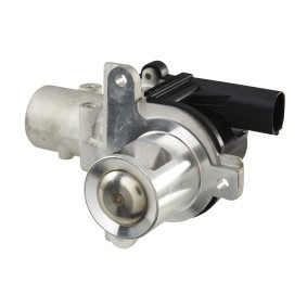 AGR-Ventil 6NU 010 171-741 für Scénic III (JZ0/1_) für 123,53 CHF