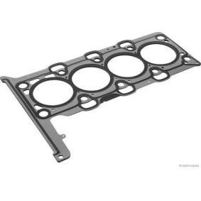 Zylinderkopfdichtung J1250581