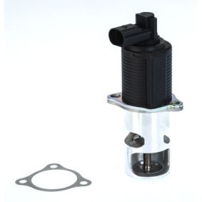 Acquista Valvola EGR da WAHLER 710776D a buon mercato per soli 89,27 €