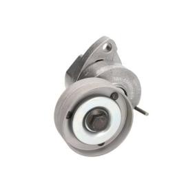 Spannrolle, Keilrippenriemen E3X0001BTA