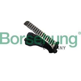 Fahrpedalsatz von Borsehung