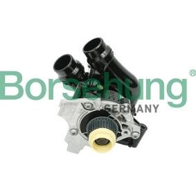 Achetez des Pompe à eau Borsehung B18736 à prix pour 288,40 €