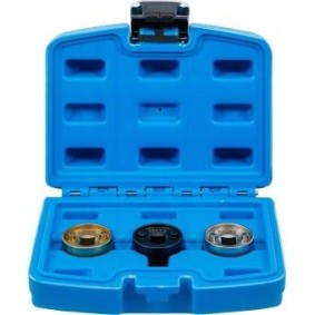 Compre Roda dentada, árvore de cames de BGS online para A4 Allroad (8KH, B8) a preços moderados