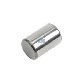 Acquista Boccola, Perno fuso a snodo da DT Spare Parts 1.16301 a buon mercato per soli 9,64 €
