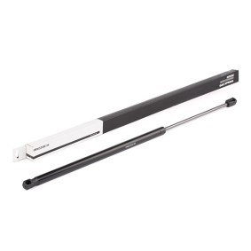 Heckklappendämpfer 219G0423