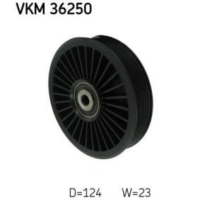 Umlenk- / Führungsrolle, Keilrippenriemen VKM 36250 von SKF günstig für 28,96 € online kaufen