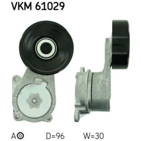 Compre Rolo tensor, correia trapezoidal estriada de SKF online para GS (JZS147_) a preços moderados