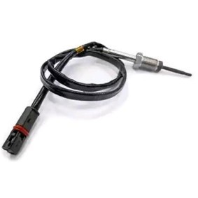 Abgastemperatursensor für PEUGEOT von VEGAZ
