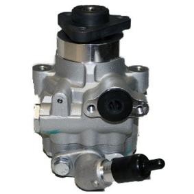 Acquista Pompa idraulica, sterzo da SERCORE 07B1061N a buon mercato per soli 248,12 €