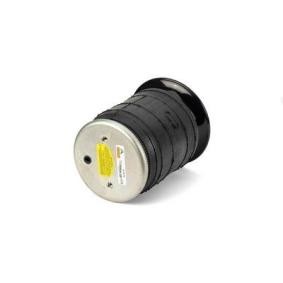 Acquista Molla pneumatica da Arnott A-3276 a buon mercato per soli 356,98 €