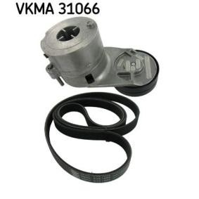 Acquista Kit Cinghie Poly-V da SKF VKMA 31066 a buon mercato per soli 72,69 €