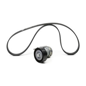 Keilrippenriemensatz von SKF für Passat (A32, A33) günstig online kaufen