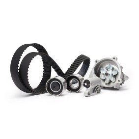 Achetez des Kit de distribution + pompe à eau SKF VKMC 94920-1 à prix pour 213,89 €