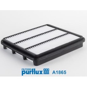 DAEWOO Luftfilter von PURFLUX