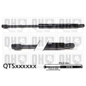 Heckklappendämpfer QTS828556