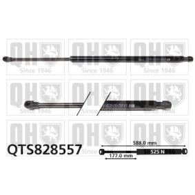 Heckklappendämpfer QTS828557
