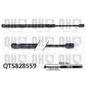 Motorhaubendämpfer QTS828559