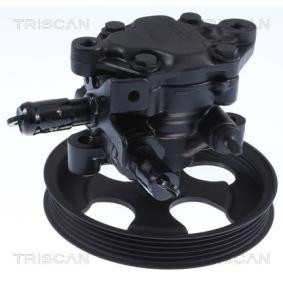 Servopumpe von TRISCAN