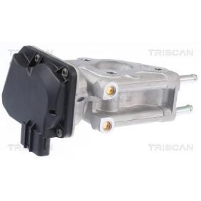 Comprar Válvula EGR de TRISCAN 8813 13066 a bajo precio de 188,68 €