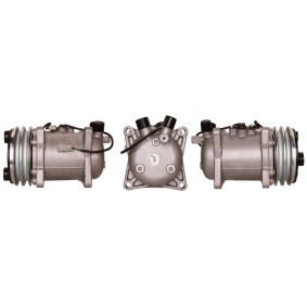 Acquista Compressore aria condizionata da LUCAS ACP192 a buon mercato per soli 572,11 €