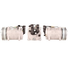 Acquista Compressore aria condizionata da LUCAS ACP220 a buon mercato per soli 401,30 €