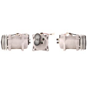 Acquista Compressore aria condizionata da LUCAS ACP436 a buon mercato per soli 602,10 €