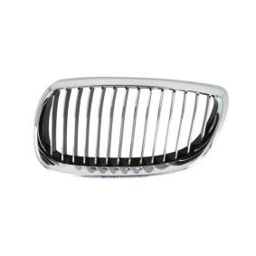 Kühlergrill 6502-07-00629915P
