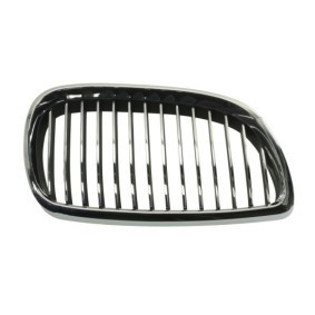 Kühlergrill 6502-07-00629916P