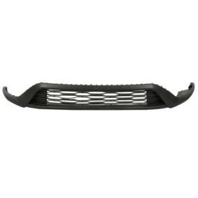 Acquista Griglia paraurti da BLIC 6502-07-2043910P a buon mercato per soli 67,10 €