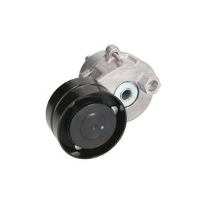 Compre Tensor, correia trapezoidal estriada da BTA B05-AG-013 a um preço baixo por 63,46 €