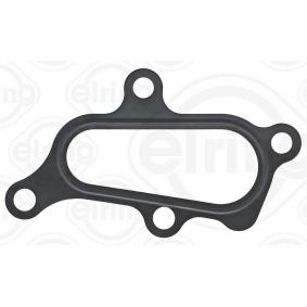 Dichtung, Thermostatgehäuse 795.220