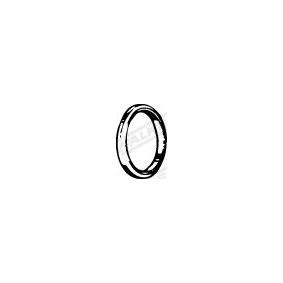 Halter, Abgasanlage 80644